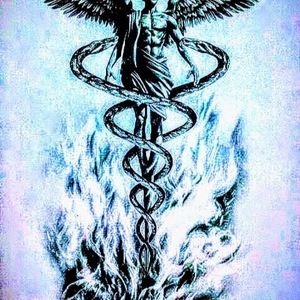 Meet your Posher, Jack